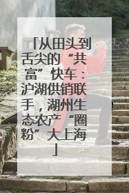 从田头到舌尖的“共富”快车：沪湖供销联手，湖州生态农产“圈粉”大上海