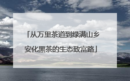 从万里茶道到绿满山乡 安化黑茶的生态致富路