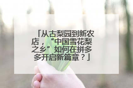 从古梨园到新农店，“中国雪花梨之乡”如何在拼多多开启新篇章？