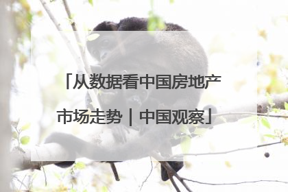 从数据看中国房地产市场走势｜中国观察
