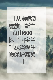 从濒危到绽放！新宁崀山600株“国宝兰”获省级生物保护嘉奖