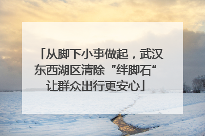 从脚下小事做起，武汉东西湖区清除“绊脚石”让群众出行更安心