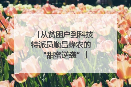 从贫困户到科技特派员顺昌蜂农的“甜蜜逆袭”