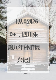 从0到260+，四川朱鹮九年种群复兴记