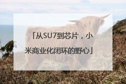 从SU7到芯片，小米商业化闭环的野心