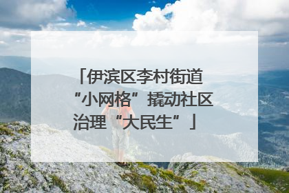 伊滨区李村街道 “小网格”撬动社区治理“大民生”