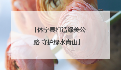 休宁县打造绿美公路 守护绿水青山