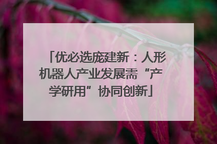 优必选庞建新：人形机器人产业发展需“产学研用”协同创新