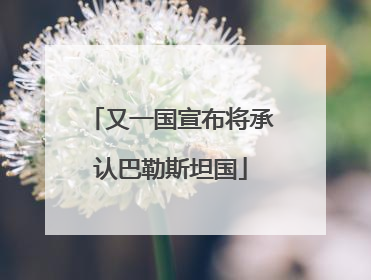 又一国宣布将承认巴勒斯坦国
