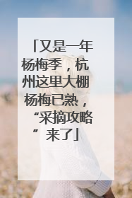 又是一年杨梅季，杭州这里大棚杨梅已熟，“采摘攻略”来了