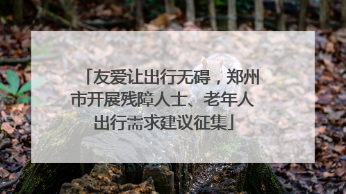 友爱让出行无碍，郑州市开展残障人士、老年人出行需求建议征集