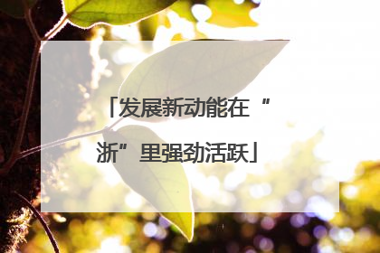 发展新动能在“浙”里强劲活跃