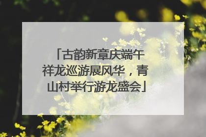 古韵新章庆端午 祥龙巡游展风华，青山村举行游龙盛会