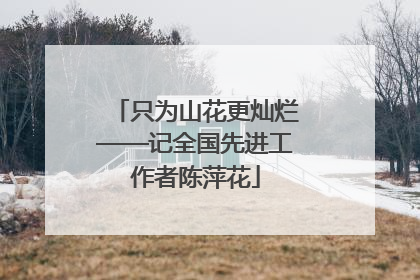 只为山花更灿烂——记全国先进工作者陈萍花