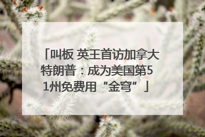 叫板 英王首访加拿大 特朗普：成为美国第51州免费用“金穹”