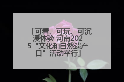 可看、可玩、可沉浸体验 河南2025“文化和自然遗产日”活动举行