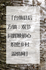 台前县后方镇：双节同辉映初心 织密乡村温情网