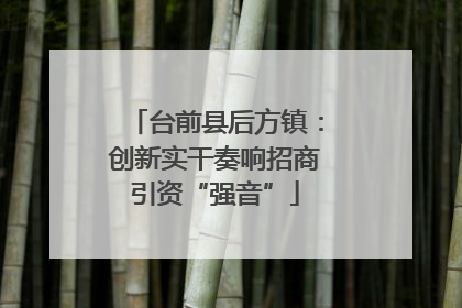 台前县后方镇：创新实干奏响招商引资“强音”