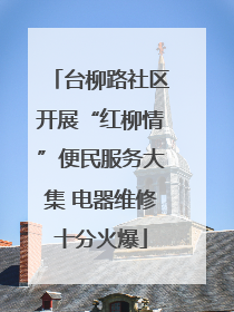 台柳路社区开展“红柳情”便民服务大集 电器维修十分火爆