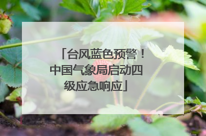 台风蓝色预警！中国气象局启动四级应急响应