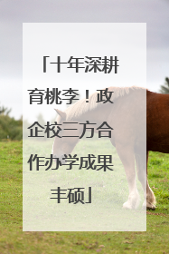 十年深耕育桃李！政企校三方合作办学成果丰硕