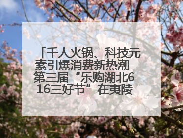 千人火锅、科技元素引爆消费新热潮 第三届“乐购湖北616三好节”在夷陵区盛大启幕