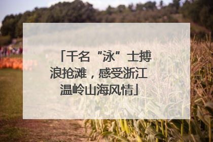 千名“泳”士搏浪抢滩，感受浙江温岭山海风情