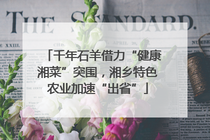 千年石羊借力“健康湘菜”突围，湘乡特色农业加速“出省”