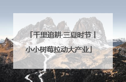 千里追耕·三夏时节丨小小树莓拉动大产业