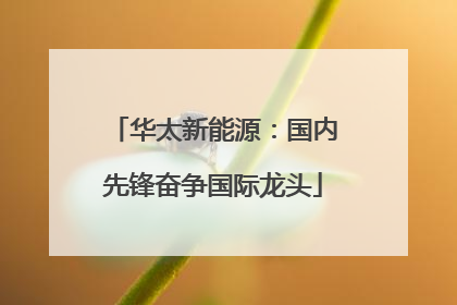 华太新能源：国内先锋奋争国际龙头