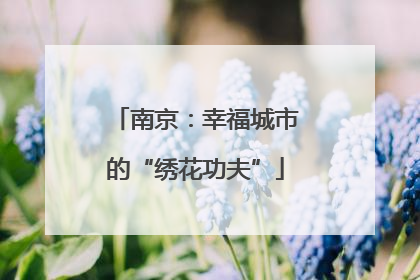 南京：幸福城市的“绣花功夫”