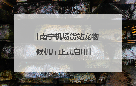 南宁机场货站宠物候机厅正式启用