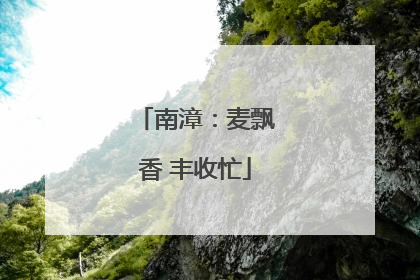 南漳：麦飘香 丰收忙
