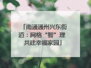 南通通州兴东街道：网格“智”理 共建幸福家园
