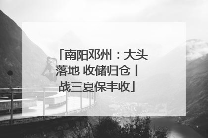 南阳邓州：大头落地 收储归仓丨战三夏保丰收