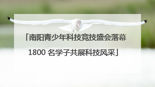 南阳青少年科技竞技盛会落幕 1800 名学子共展科技风采