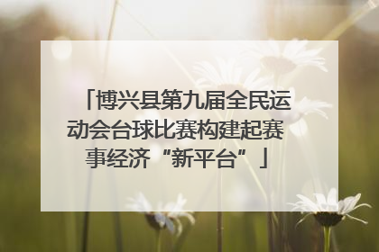 博兴县第九届全民运动会台球比赛构建起赛事经济“新平台”