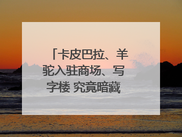 卡皮巴拉、羊驼入驻商场、写字楼 究竟暗藏哪些隐患？