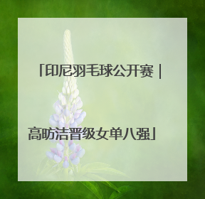 印尼羽毛球公开赛｜高昉洁晋级女单八强