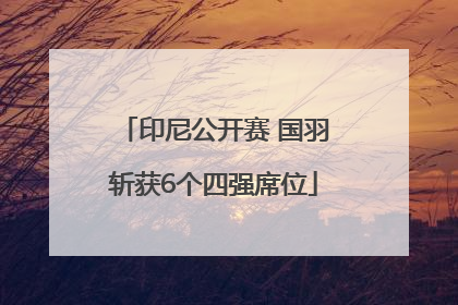 印尼公开赛 国羽斩获6个四强席位