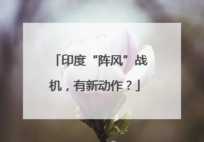 印度“阵风”战机，有新动作？