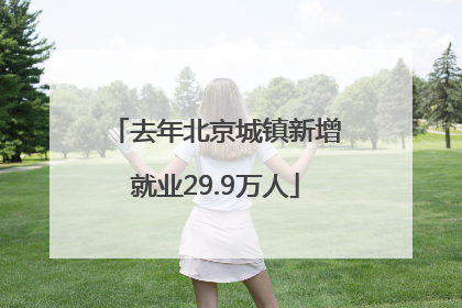 去年北京城镇新增就业29.9万人