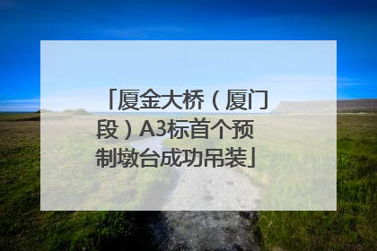 厦金大桥（厦门段）A3标首个预制墩台成功吊装