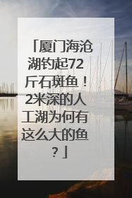 厦门海沧湖钓起72斤石斑鱼！2米深的人工湖为何有这么大的鱼？