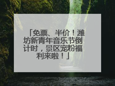 免票、半价！潍坊新青年音乐节倒计时，景区宠粉福利来啦！
