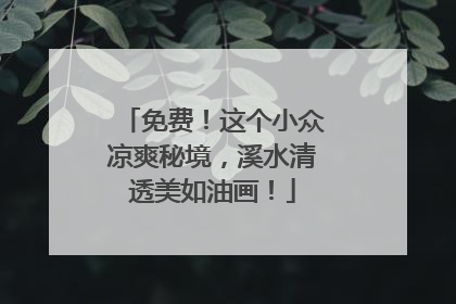 免费！这个小众凉爽秘境，溪水清透美如油画！