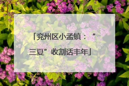 兖州区小孟镇：“三夏”收割话丰年