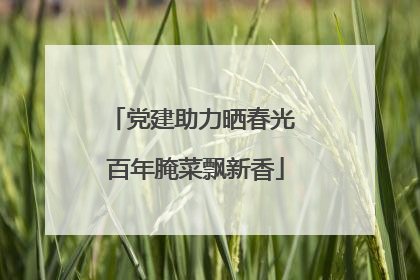 党建助力晒春光 百年腌菜飘新香