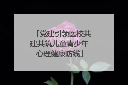 党建引领医校共建共筑儿童青少年心理健康防线