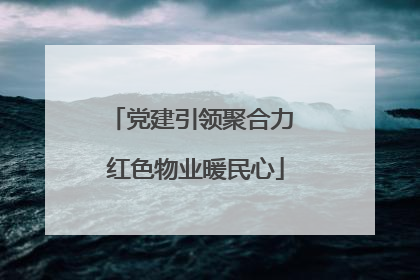 党建引领聚合力 红色物业暖民心